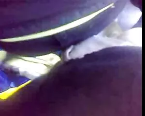 Xe Bus, buổi biểu diễn