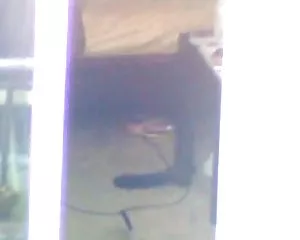 Hàng xóm, cửa sổ,