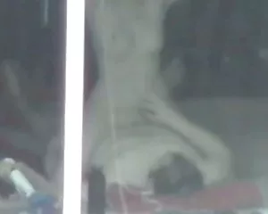 Đôi tình nhân cửa sổ tình,