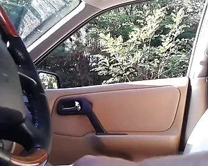 Xe, xe, xe xem, flash xem, tôi xem