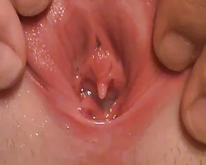 Ngắn hạn, ngắn, quần short