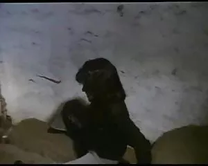 Hài kịch đức, tình dục, tình dục, hài quan hệ tình dục